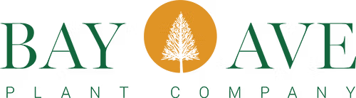 bayave_logo (2)
